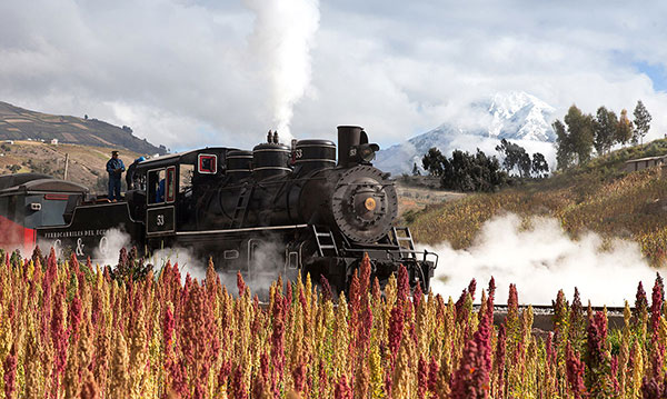 tren2